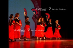 Flamenco4